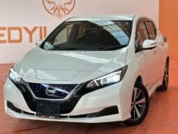 Nissan Leaf 2019
