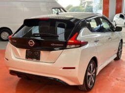 Nissan Leaf 2019