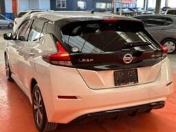 Nissan Leaf 2019