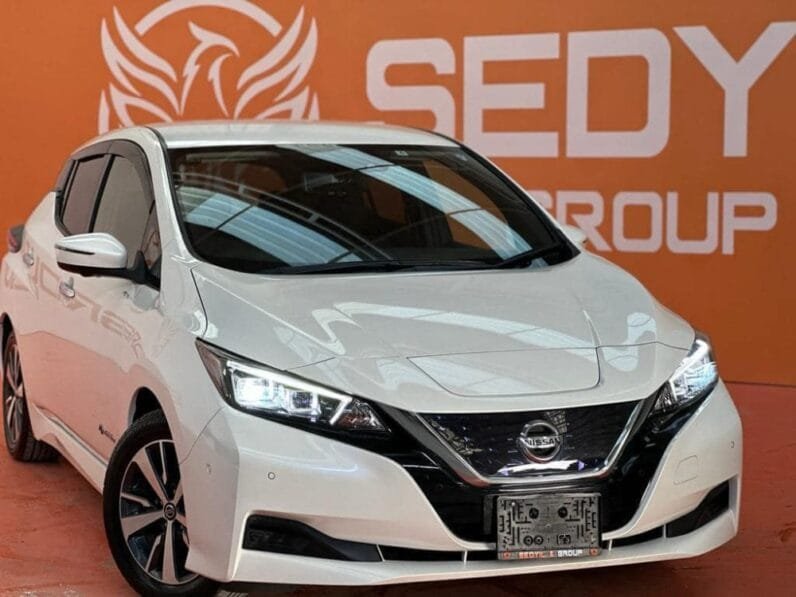 Nissan Leaf 2019