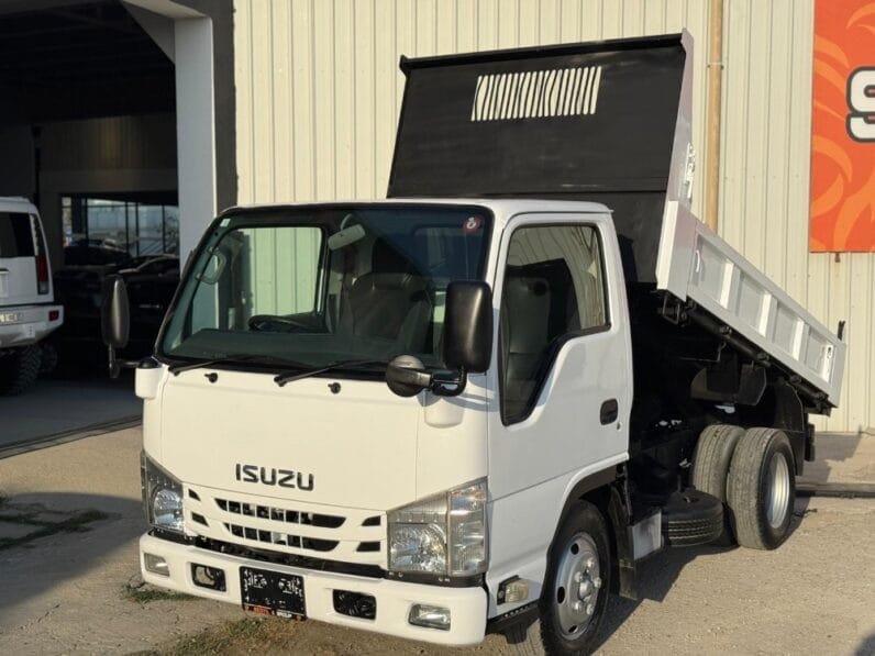 Isuzu Elf 2019