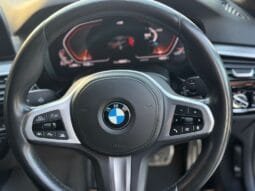 BMW 5 Serisi 2021