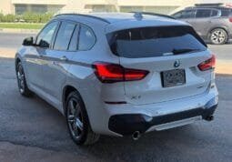 BMW X Serisi 2022